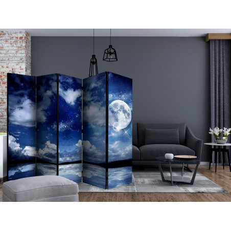 Paravan Magic Night Ii [Room Dividers] 225 cm x 172 cm-01