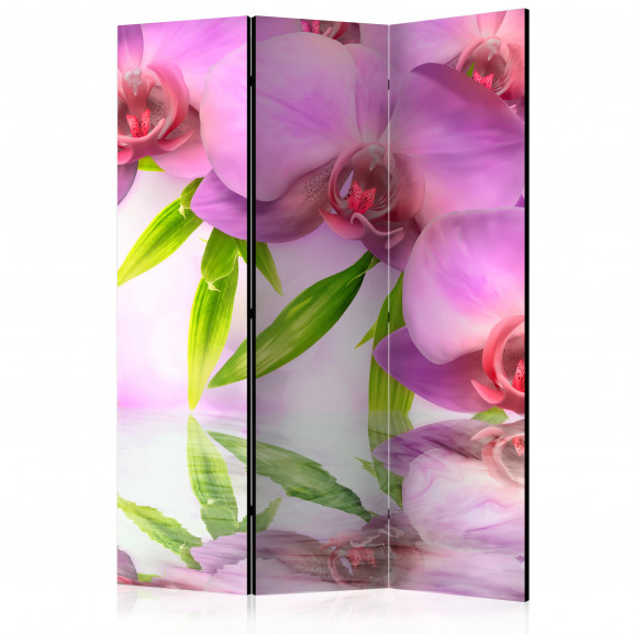 Paravan Orchid Spa [Room Dividers] 135 cm x 172 cm