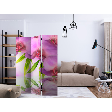 Paravan Orchid Spa [Room Dividers] 135 cm x 172 cm-01