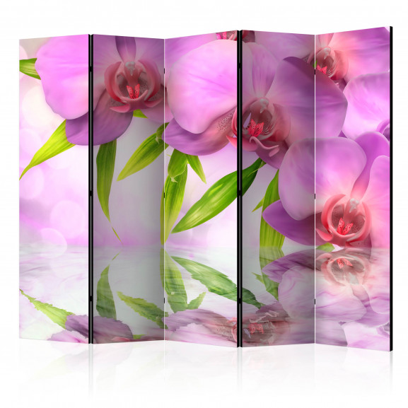 Paravan Orchid Spa Ii [Room Dividers] 225 cm x 172 cm