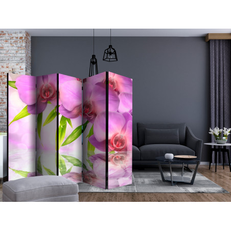 Paravan Orchid Spa Ii [Room Dividers] 225 cm x 172 cm-01