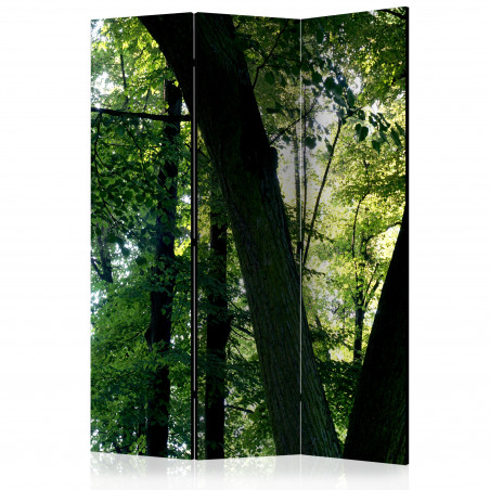 Paravan Spring In The Park [Room Dividers] 135 cm x 172 cm-01