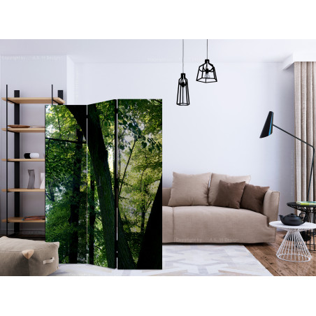 Paravan Spring In The Park [Room Dividers] 135 cm x 172 cm-01