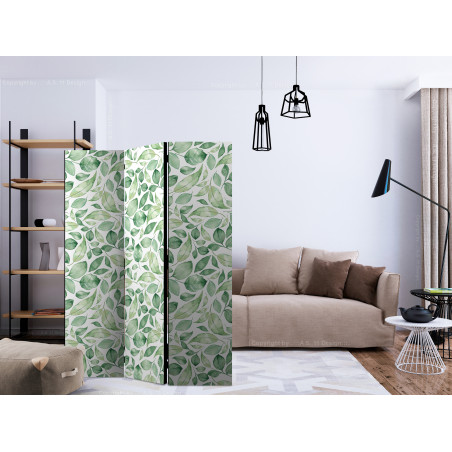 Paravan Natural Beauty [Room Dividers] 135 cm x 172 cm-01