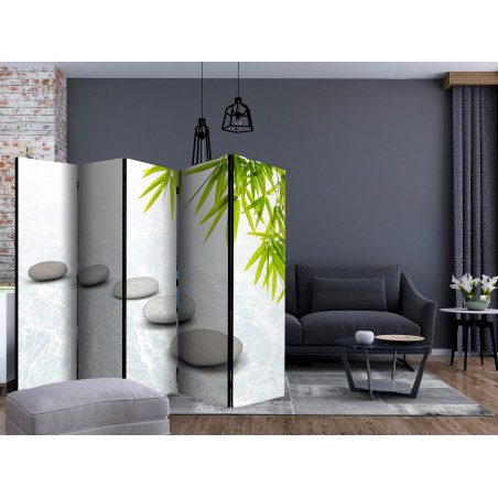 Paravan Stoic Calm Ii [Room Dividers] 225 cm x 172 cm-01