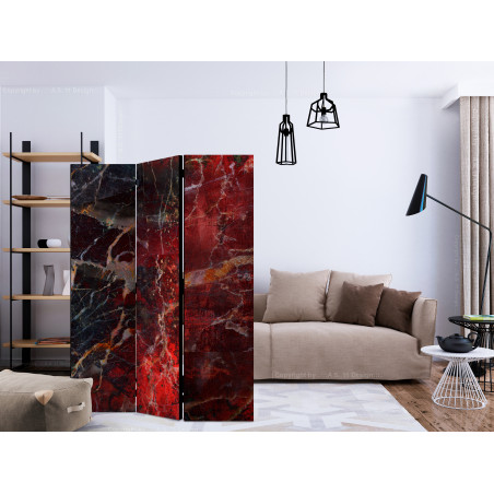 Paravan Road To Hell [Room Dividers] 135 cm x 172 cm-01