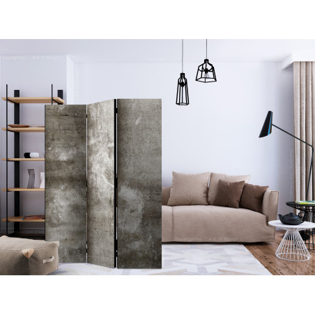 Paravan Cold Concrete [Room Dividers] 135 cm x 172 cm-01