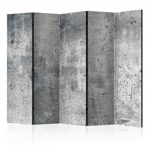 Paravan Fresh Concrete Ii [Room Dividers] 225 cm x 172 cm