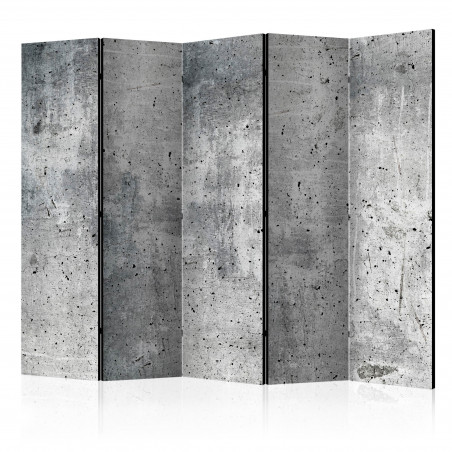 Paravan Fresh Concrete Ii [Room Dividers] 225 cm x 172 cm-01