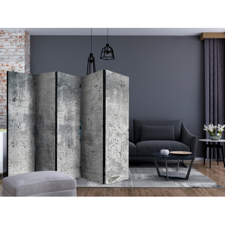 Paravan Fresh Concrete Ii [Room Dividers] 225 cm x 172 cm-01