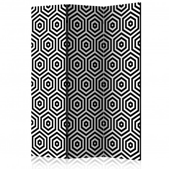Paravan Black And White Hypnosis [Room Dividers] 135 cm x 172 cm