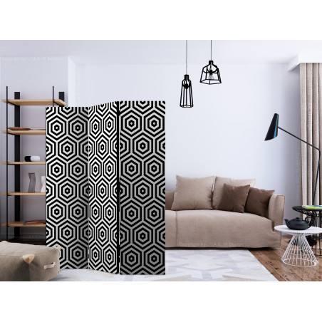 Paravan Black And White Hypnosis [Room Dividers] 135 cm x 172 cm-01