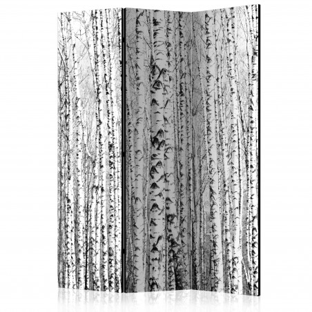 Paravan Birch Forest [Room Dividers] 135 cm x 172 cm-01