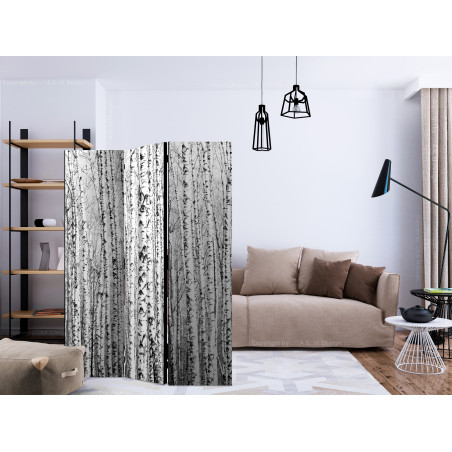 Paravan Birch Forest [Room Dividers] 135 cm x 172 cm-01