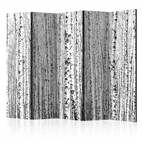Paravan Birch Forest Ii [Room Dividers] 225 cm x 172 cm-01