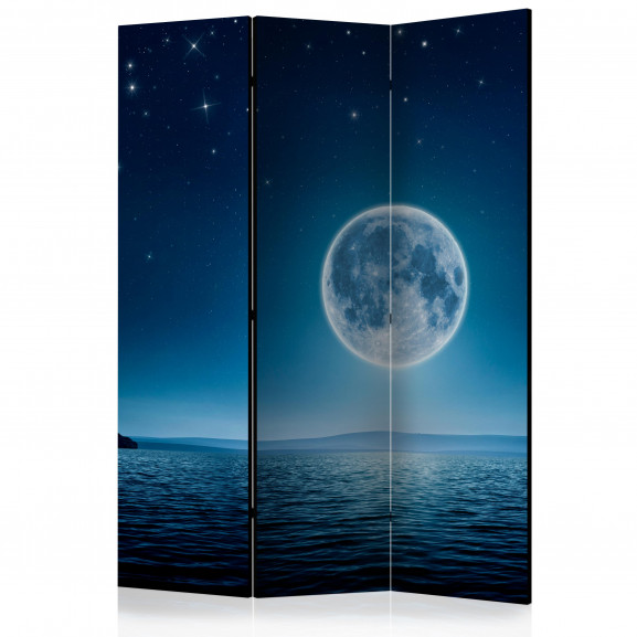Paravan Moonlit Night [Room Dividers] 135 cm x 172 cm