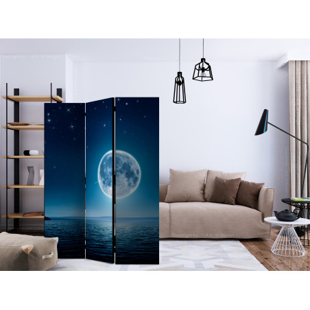 Paravan Moonlit Night [Room Dividers] 135 cm x 172 cm-01