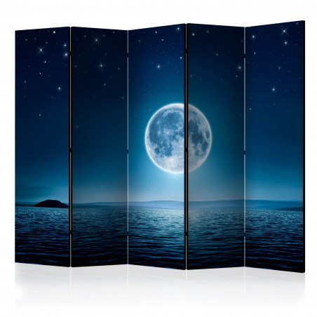 Paravan Moonlit Night Ii [Room Dividers] 225 cm x 172 cm-01