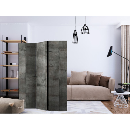Paravan Steel Design [Room Dividers] 135 cm x 172 cm-01