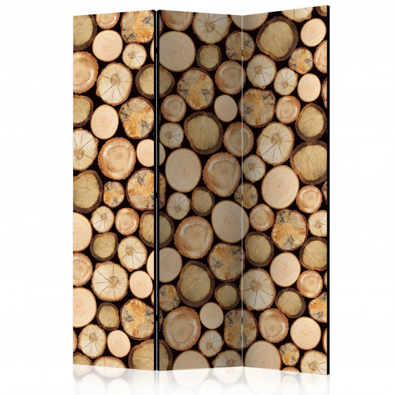 Paravan In Sawmill [Room Dividers] 135 cm x 172 cm