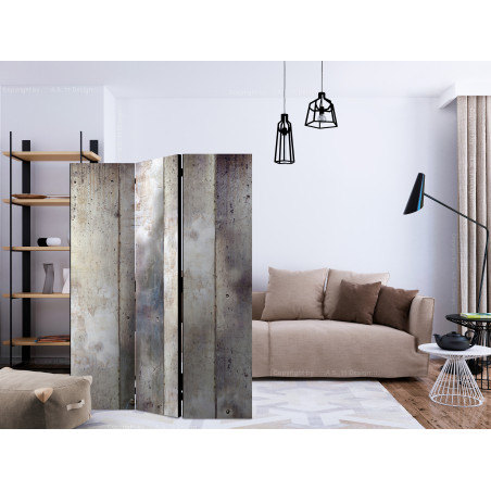 Paravan Shades Of Gray [Room Dividers] 135 cm x 172 cm-01