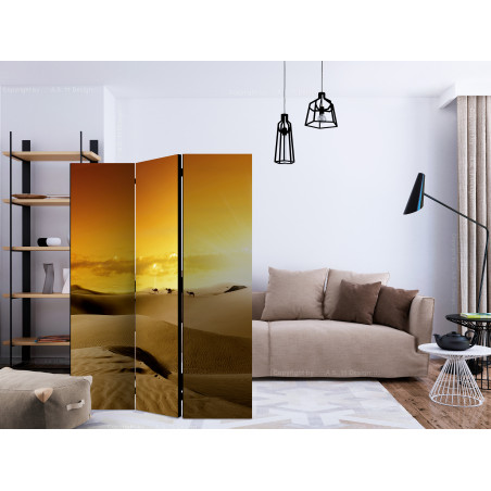 Paravan March Of Camels [Room Dividers] 135 cm x 172 cm-01