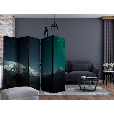 Paravan Northern Lights Ii [Room Dividers] 225 cm x 172 cm-01