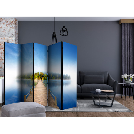 Paravan Mysterious Island Ii [Room Dividers] 225 cm x 172 cm-01