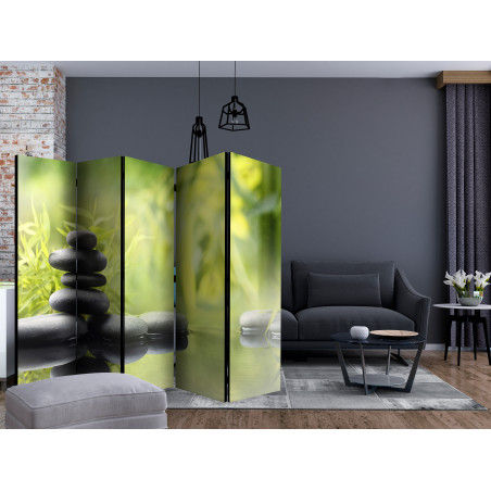 Paravan Serenity Of Nature Ii [Room Dividers] 225 cm x 172 cm-01