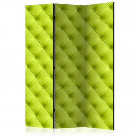 Paravan Lime Detente [Room Dividers] 135 cm x 172 cm-01