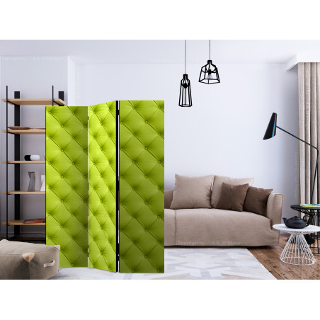 Paravan Lime Detente [Room Dividers] 135 cm x 172 cm-01
