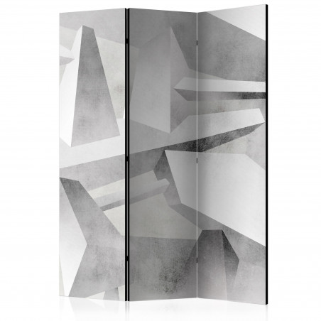 Paravan Frozen Wings [Room Dividers] 135 cm x 172 cm-01
