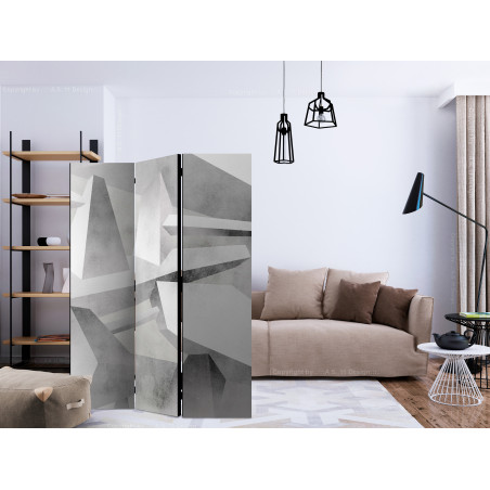 Paravan Frozen Wings [Room Dividers] 135 cm x 172 cm-01