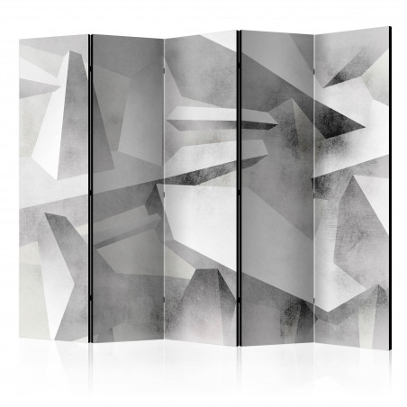 Paravan Frozen Wings Ii [Room Dividers] 225 cm x 172 cm-01