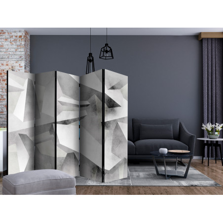 Paravan Frozen Wings Ii [Room Dividers] 225 cm x 172 cm-01