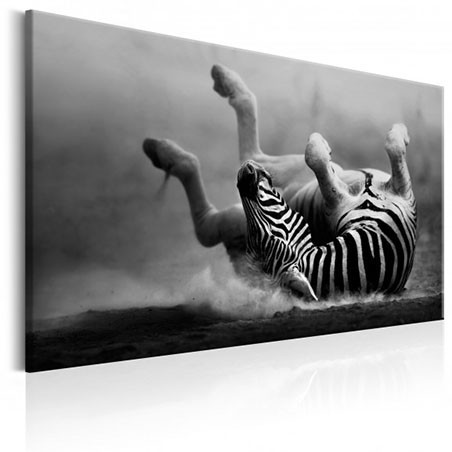 Zebre