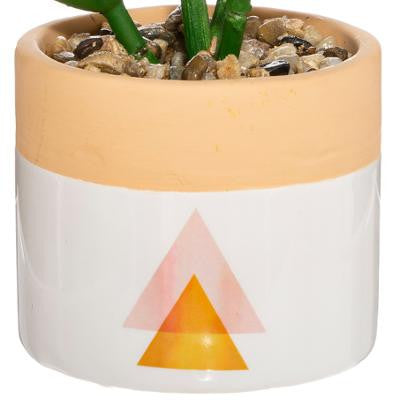 Plante Ghiveci Ceramic Alb