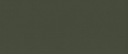Canapea Extensibila Cu Lada Depozitare Dreamer, Verde, 260 x 110 x 100 Cm