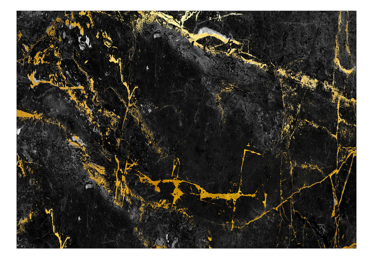 Fototapet Black Elegance 300X210 cm-Resigilat