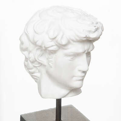 Statuie David H21