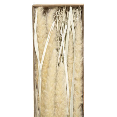 Buchet Flori Uscate Pampa, 60 Cm
