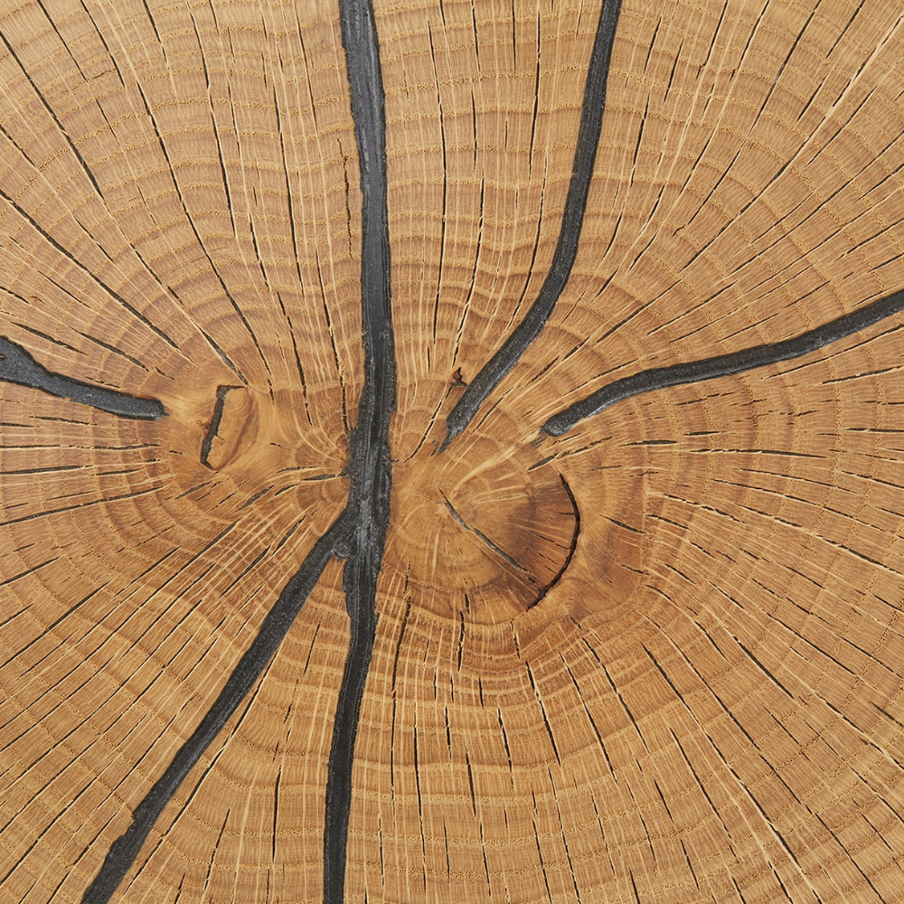 Dulap Hol Dakota Cu 1 Usa, 60 Cm