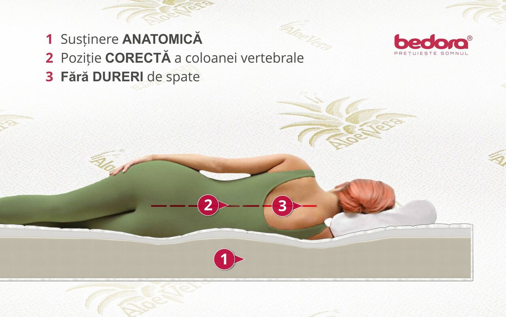 Pachet Confort Aloe Vera, Saltea Cu Pilota Si Perne, 160 X 200 cm