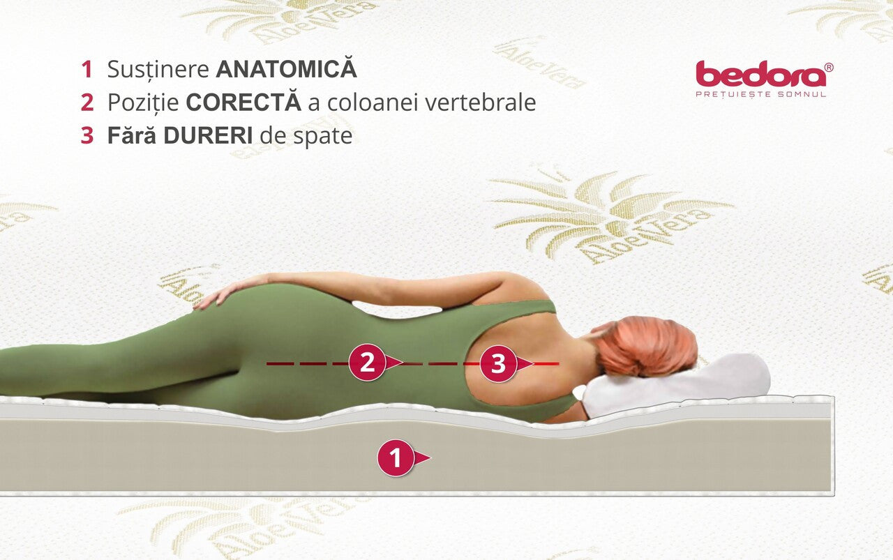 Pachet Confort Aloe Vera, Saltea Cu Pilota Si Perne, 180 X 200 cm