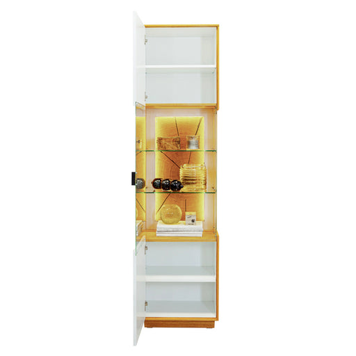 Vitrina 1 Usa Leuna 49.6  Cm
