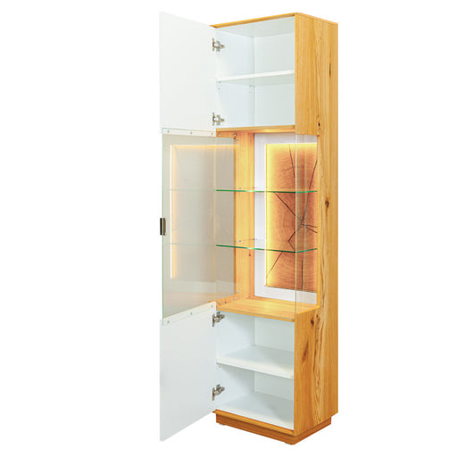 Vitrina 1 Usa Leuna 49.6  Cm