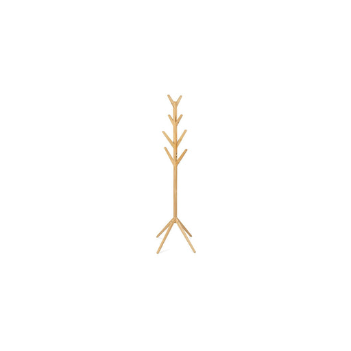 Cuier Pom Trees Pin Natur