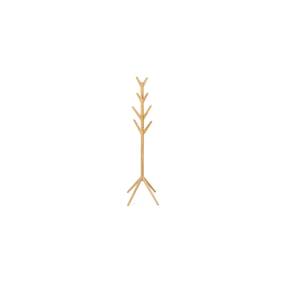 Cuier Pom Trees Pin Natur
