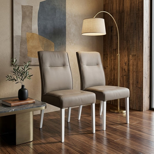 Set 2 Scaune Fiona, Montana, 46.5 x 64 x 91 Cm